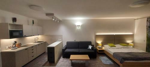 Hotel Wellness Apartm�ny ?�?ky