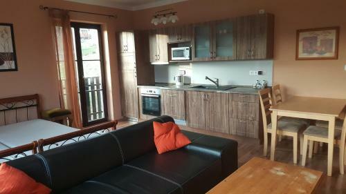 Apartm�n V�tkovice