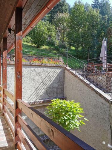 Apartm�ny Ro?mberk