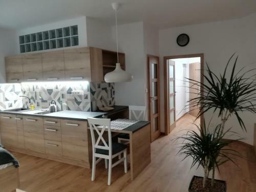 Apartm�ny U Holub?