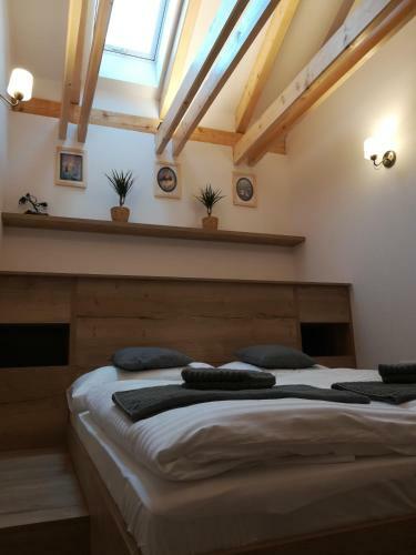 Apartm�ny U Holub?