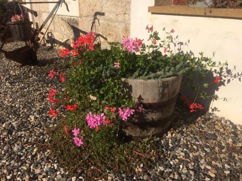 Holiday Home Usedlost Nov� Sv?t