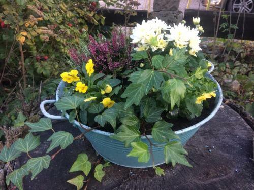Holiday Home Usedlost Nov� Sv?t