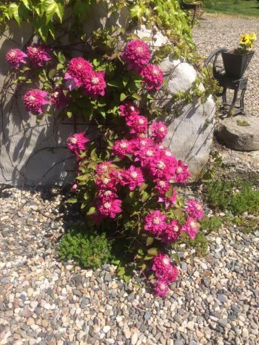 Holiday Home Usedlost Nov� Sv?t