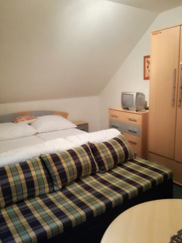 Hostal Penzion Skicentrum Studenov