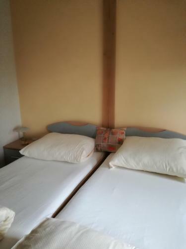 Hostal Penzion Skicentrum Studenov