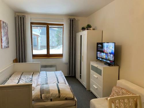 Horsk� Apartm�n Roky - Krkono?e