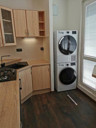 Apartamento Slan� - Byt 1+1