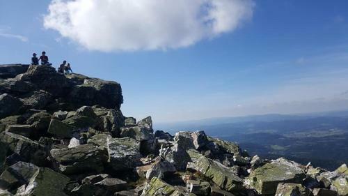 Sojka Apartm�ny Jesen�ky