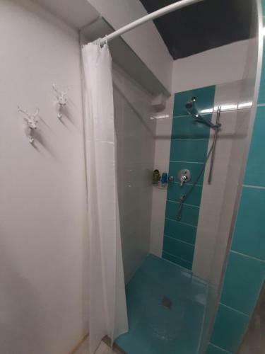 Zelen� Jelen - Horsk� Apartm�n