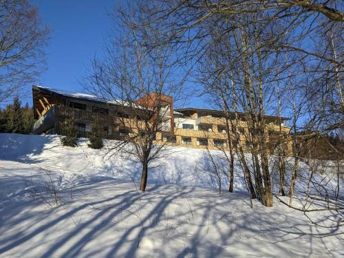Zadov - Apartm�n Srdce ?umavy