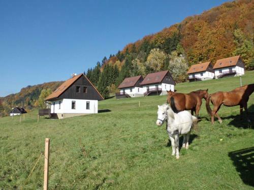 Holiday Home St�rkov
