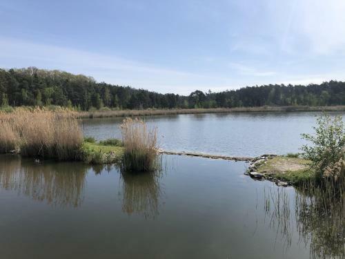 ?adov� Chata M�chovo Jezero, Star� Splavy - Pod Born�m
