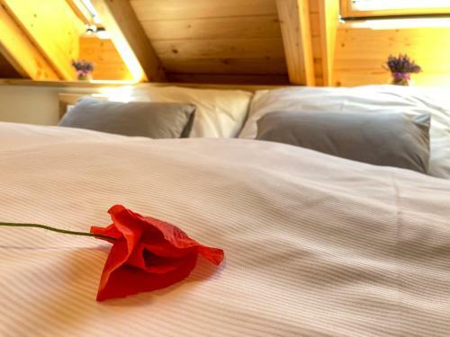 Hostal H�jenka Pod V?trn�ky