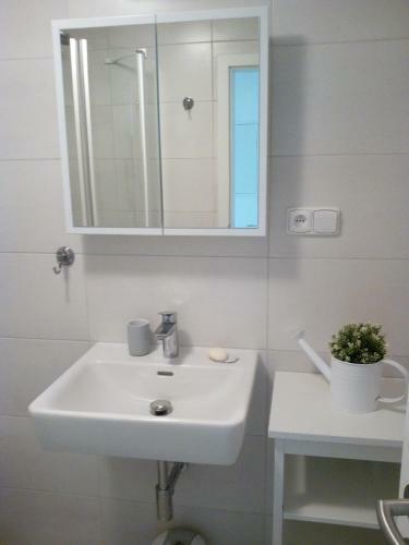 Venkovsk� Apartm�n