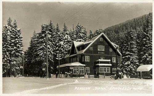 Hotel Diana