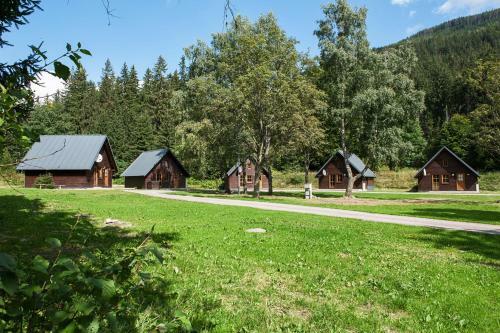 Base Camp Medvedin