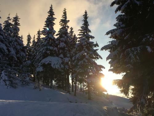 Holiday Apartment Spindleruv Mlyn