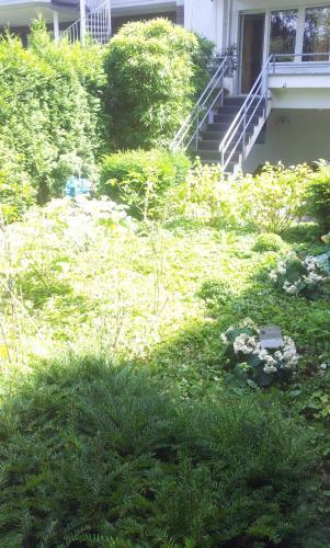 Apartment Ddorf-nord