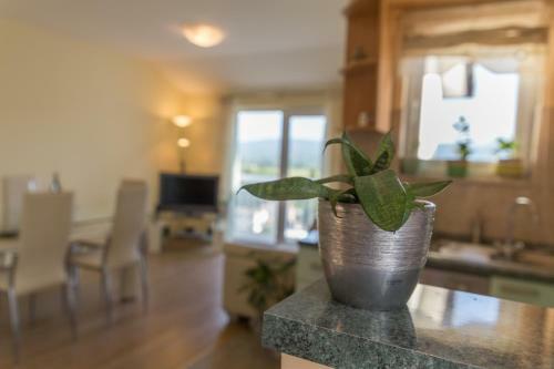 Villa Holiday Home Leko