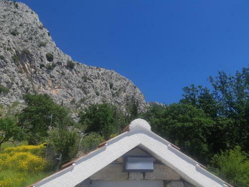 Villa Vila Omi?