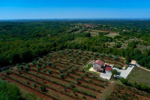 Villa Relax House Surrounded By Olives And Vineyard