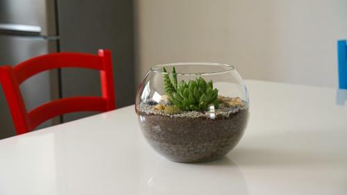 Apartment Aria
