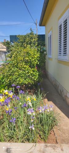 Little House By The Sea