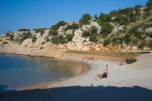 Apartment Camelia With Pool And Sea View