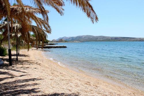 Apartments By The Sea Vidalici, Pag - 6519