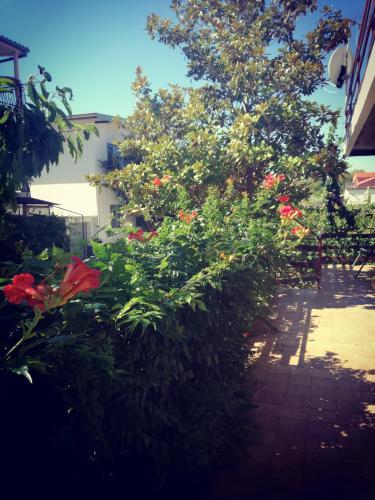 Apartamento Villa Letina