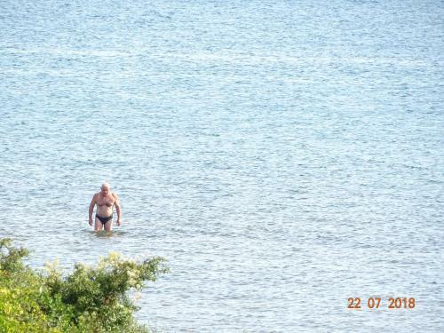 Apartments Borna
