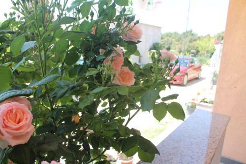 Apartment Anai, With Heated Private Pool