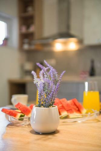 Holiday House Strenja