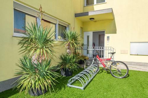 Antonio Apartments