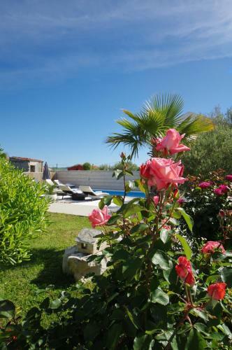 Apartmani Emili