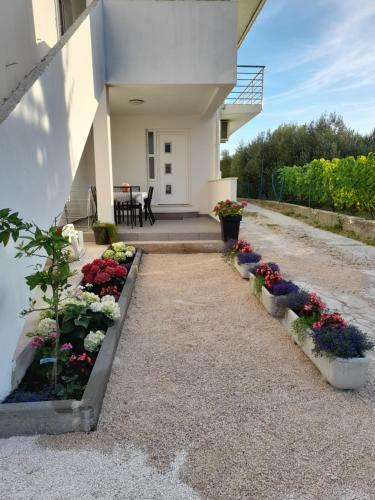 Apartmani Sara