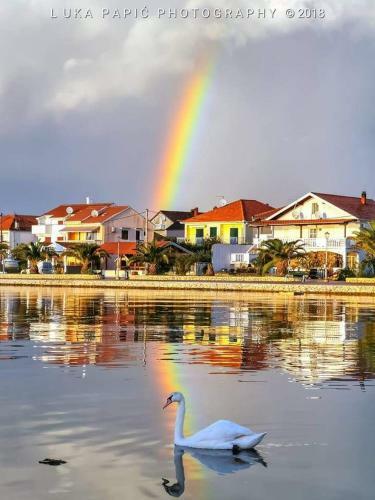 Apartman Lucano