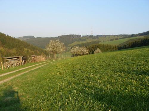 Apartamento Haus H�henflug