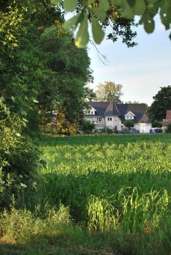 Hostal Pension Wortmann