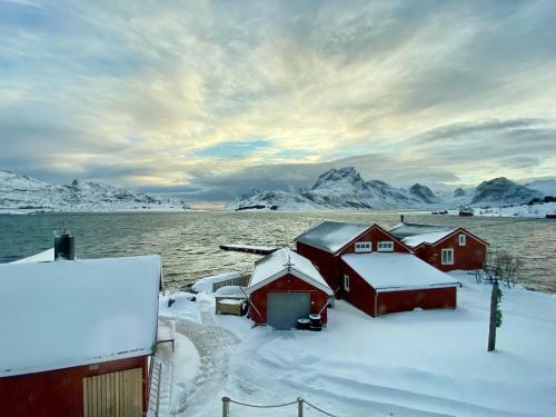Fredvang Panorama Lofoten