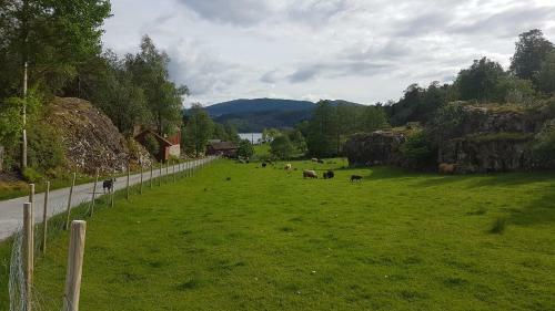 Molvik Hytten