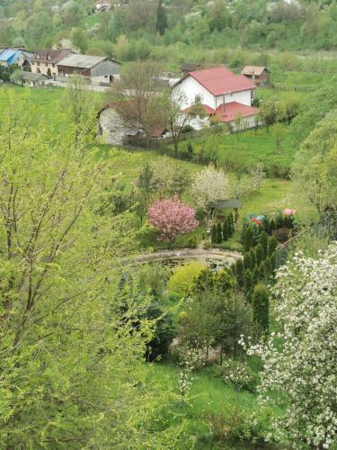 Doftana Apartaments