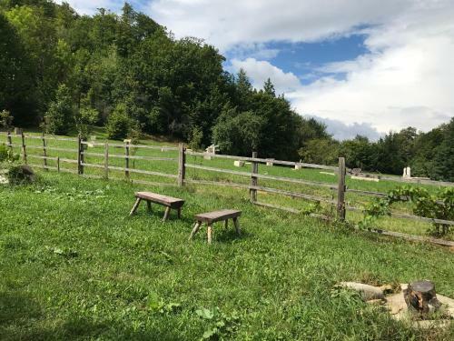 Hostal S?atra Camping