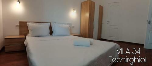 Hostal Vila 34 Techirghiol