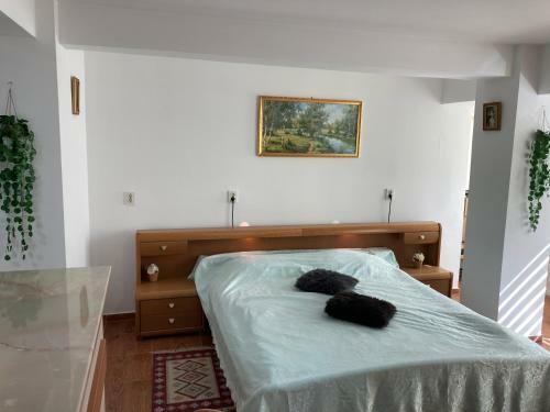 Apartament Select