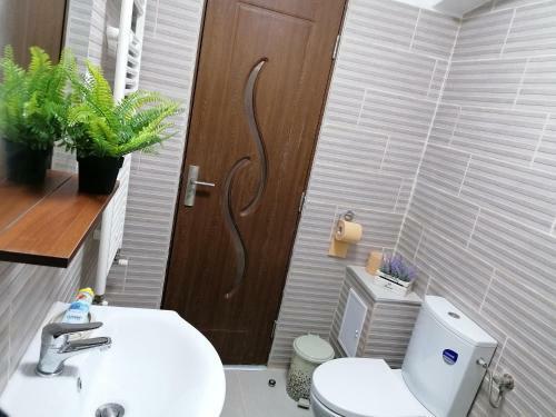 Apartament Rustic