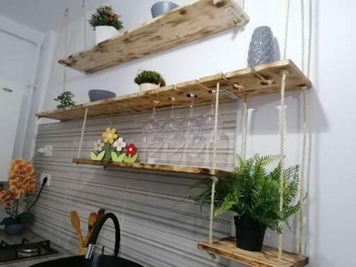 Apartamento Garsoniera Anca