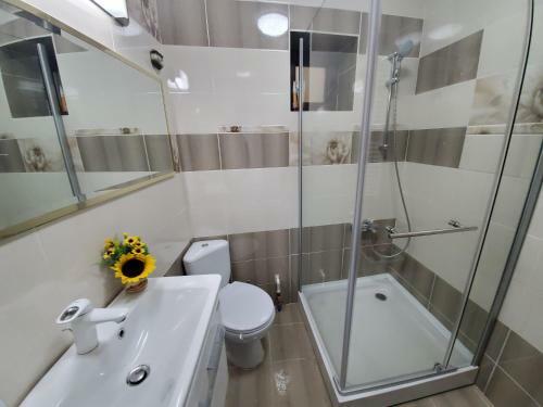 Hostal Pensiunea Mihaita