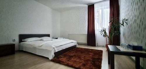Hostal Pensiunea B�ra